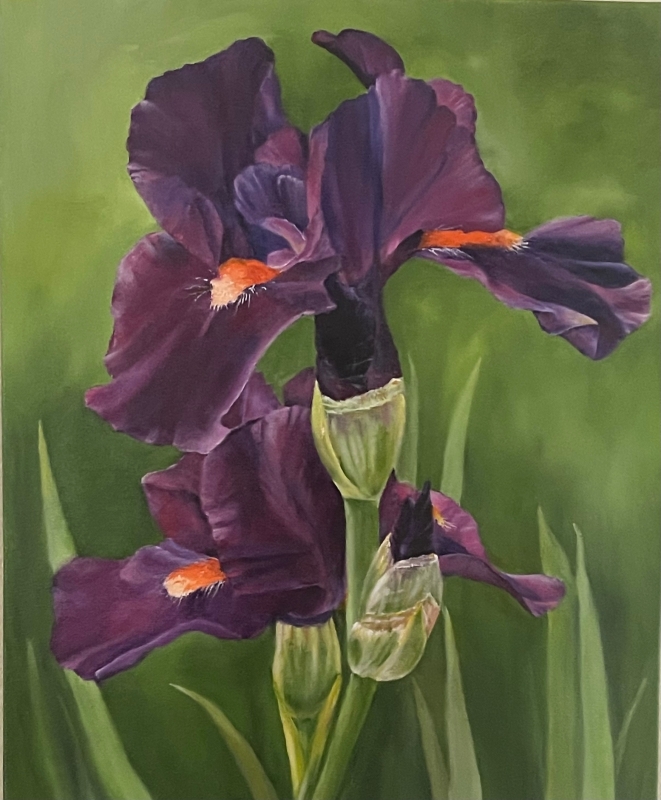 Annes Iris by artist Pat Flathouse